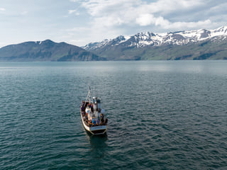 Gentle Giants Whale Watching from Husavik, Iceland - GG3 Whales and Horses with a local Family Company