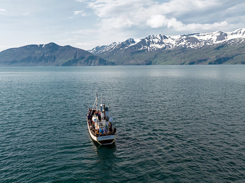 Gentle Giants Whale Watching from Husavik, Iceland - GG3 Whales and Horses with a local Family Company