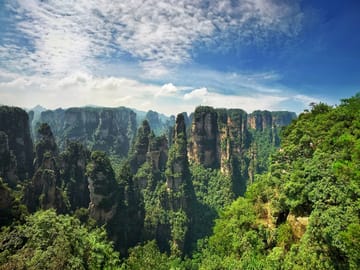 One-Day Zhangjiajie National Forest Park Tour