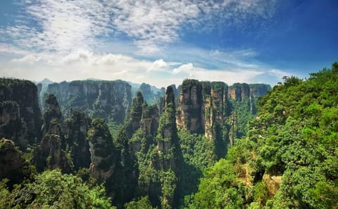 Zhangjiajie National Forest Park Sightseeing Tour