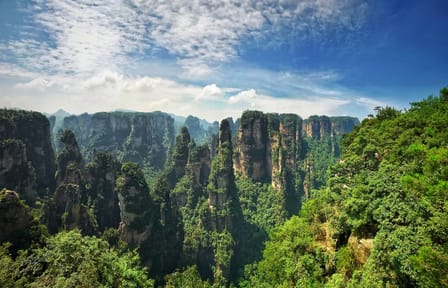 Zhangjiajie National Forest Park Sightseeing Tour