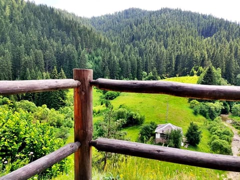 Ultimate Hiking in the Geo Center of Bulgaria - Uzana