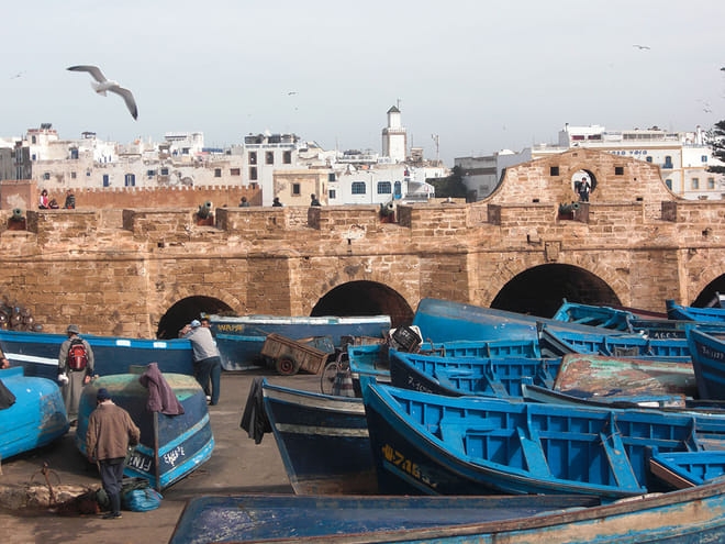 Mogador Camel Expedition Ecotour | 1 Day : Private & Luxury 2