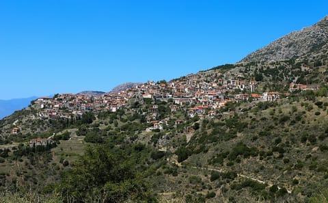 Private 10-Day Cultural Tour of Athens, Bizani, and Delphi