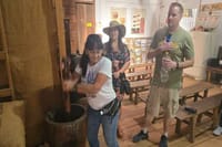 Coffee Farm Sao Paulo In Countryside – The Rural Charms of Brazil – Private 8