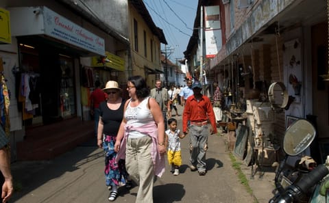 Cultural and Scenic Tour of Kochi, Munnar, and Kovalam