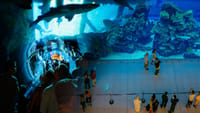 Private Half Day Dubai City Tour with Dubai Mall Shopping, Aquarium & Zoo, Burj Khalifa 148th floor & Musical Fountain Show 1