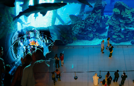 Dubai Mall Tour: Shopping, Aquarium, Burj Khalifa & Fountain Show