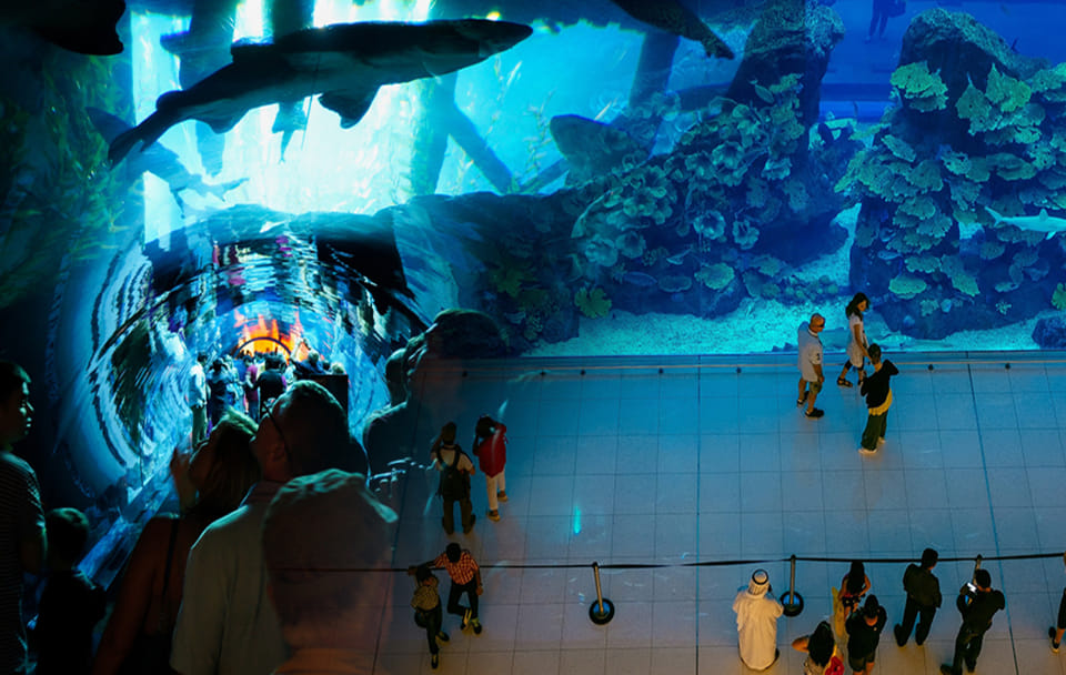 Private Half Day Dubai City Tour with Burj Khalifa and Mall