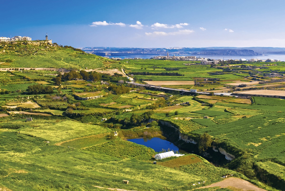 Afternoon Valletta Harbour Cruise and Free Time In Sliema (Including Guide and Transport)