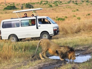 Private Nature Tour of Lake Nakuru and Lake Naivasha