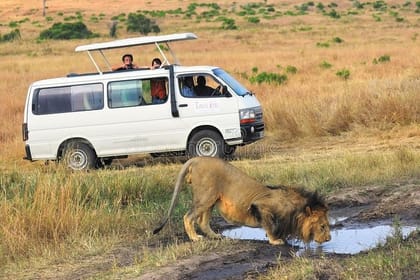 Private Tour: Lake Nakuru Park With Optional Boat Ride at Lake Naivasha