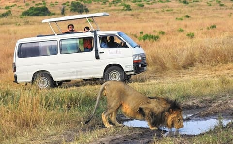 Private Nature Tour of Lake Nakuru and Lake Naivasha