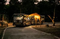 Chiang Mai Day or Night Safari Park 3