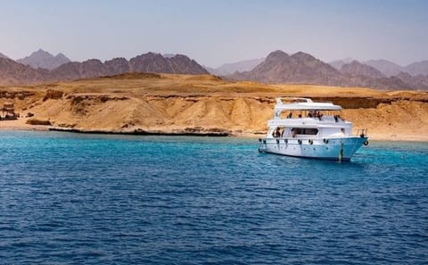 Ras Mohammed & White Island Snorkeling & Diving – Sharm El Sheikh