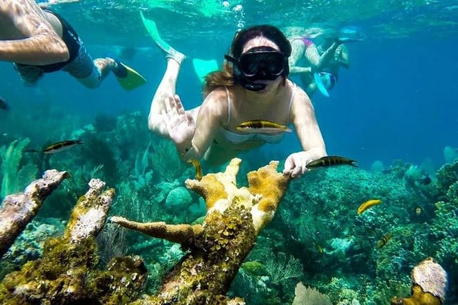 Samaná Snorkel Tour and Sailing Cayo La Farola Reef Day photo 4