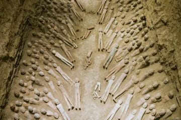 3-Day Cultural Tour of Xi'an: Terracotta Army & City Wall