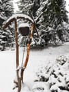 Private Snowshoeing Vitosha for 1 day 3