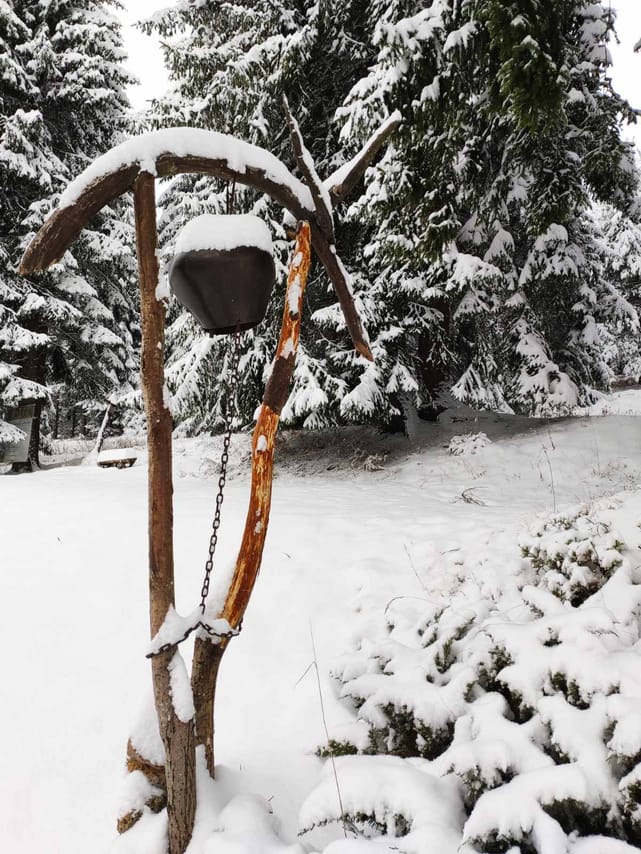 Private Snowshoeing Vitosha for 1 day 3
