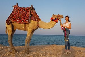 Two Hours camel Riding An unforgettable adventure - Sharm El Sheikh