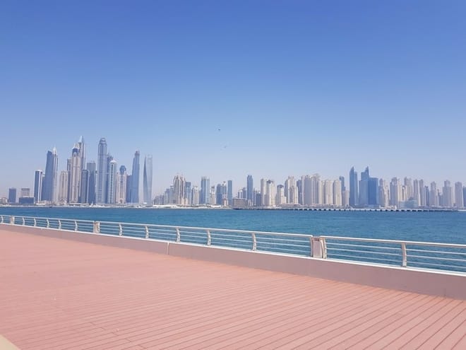 Dubai City Tour  8