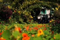 CDG Transfers with Giverny, Crepe tasting and cruise  3