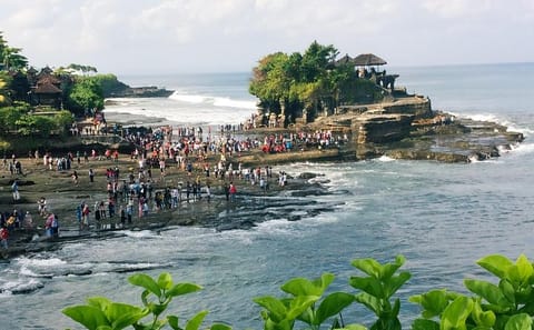 Nungnung Waterfall and Jatiluwih UNESCO Tour in Tabanan
