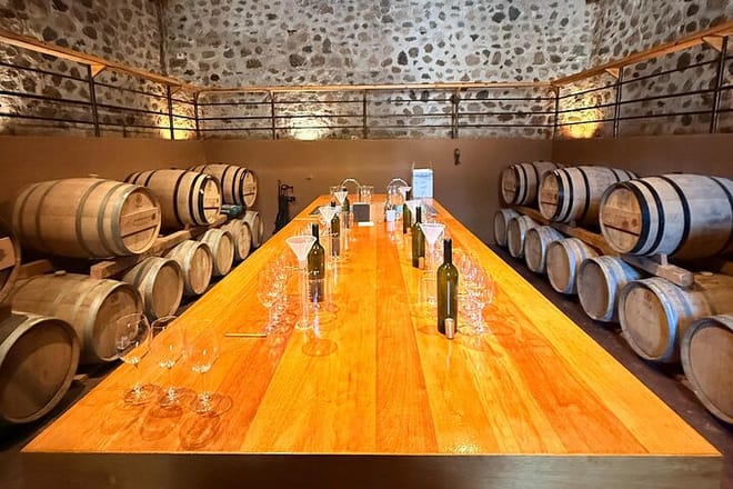 From the Border to Valle de Guadalupe Private Wine Tour - Photo 5