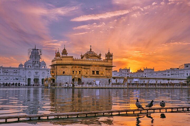 Amritsar's Golden Bliss and Border Spectacle Private Tour