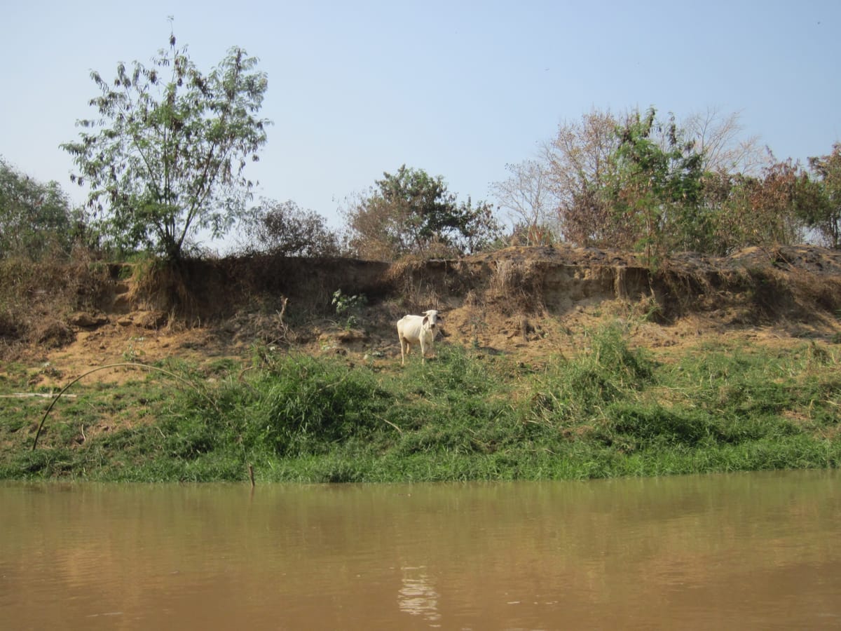 Chiang mai Suthep National Park Leisure Hiking & Mountain Biking