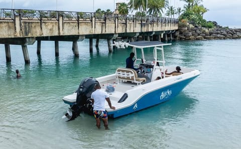 Luxury Shared Boat Tour Barbados Snorkeling and Turtles