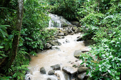 Tar-09 : Wildlife Wonderland – Tarapoto’s Alto Mayo Reserve