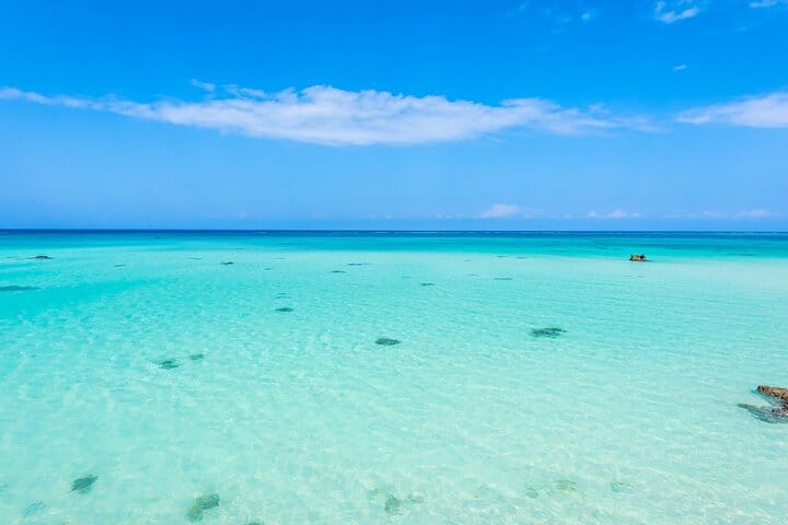 Mnemba Island Private Boat – Snorkel & Dolphin Adventure 4