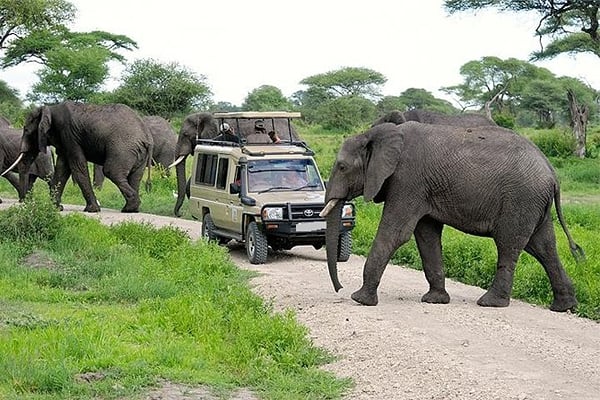 Things to do in Narok