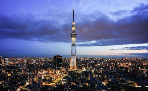 Tokyo City Private Tour up to 6 Persons