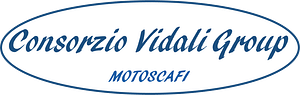 Consorzio Vidali Group