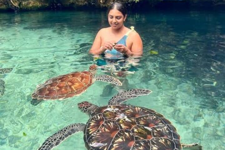 Swimming with Horses Experience on the Beach in Zanzibar