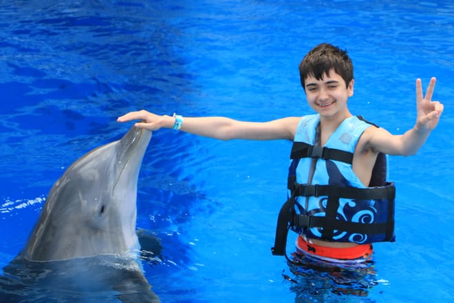 Dolphin Swim Adventure at Gulf World Marine Park photo 4