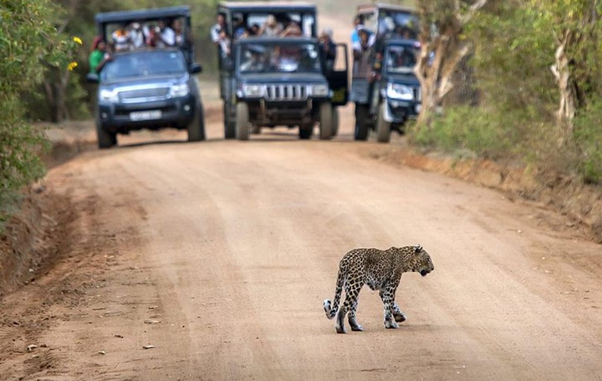 2 Days Tour to Galle & Udawalawe National Park