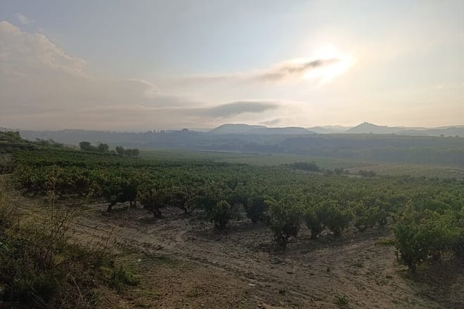 Rioja Day Tour: Explore Three Wineries with Tastings - Photo 17