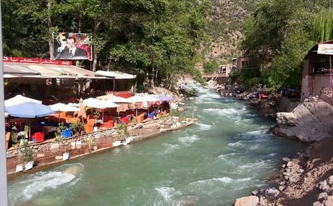 Day Trip to Ourika Valley from Marrakech with Cultural Insights