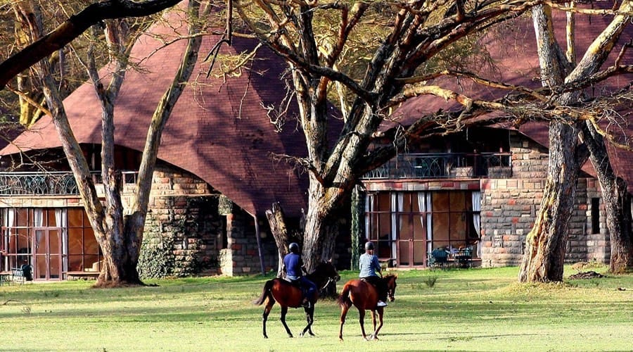 12Days Best of Kenya and Tanzania Wildlife Safari 8