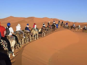 Desert