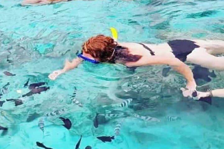 Zanzibar Salaam Cave Swimming and Feeding Sea Turtle in Kizimkazi