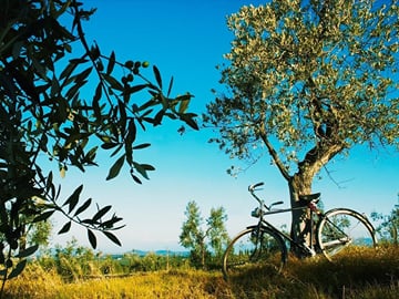 Private 2-Day Culinary Tour in Radda in Chianti, Tuscany