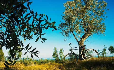 Private 2-Day Culinary Tour in Radda in Chianti, Tuscany