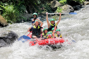 Full-Day Private White Water Rafting Ayung River and Ubud City Tour