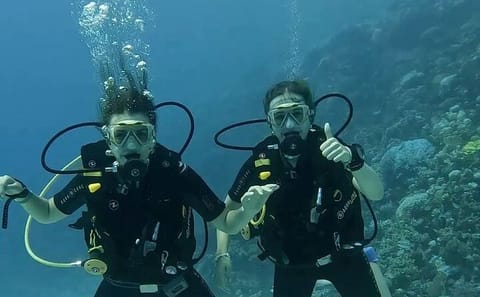 Beginner Scuba Diving Experience in Hurghada, Egypt