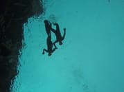 Silfra Snorkel Tour 6