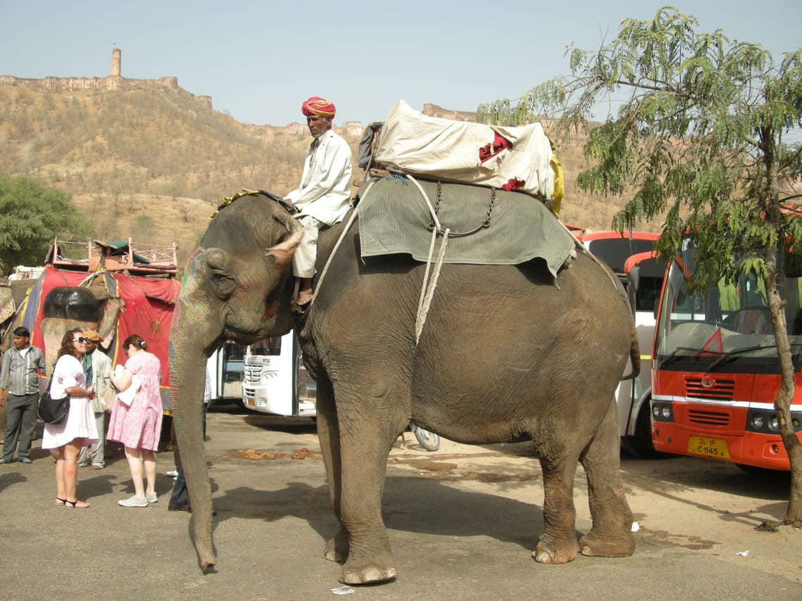 Raj to Taj & Beyond - Golden Triangle with Galta & Gaitore! 8